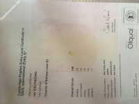 ảnh đính kèm của gia sư