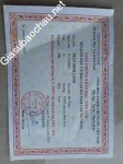 ảnh đính kèm của gia sư