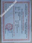 ảnh đính kèm của gia sư