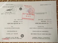 ảnh đính kèm của gia sư