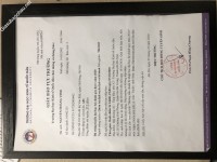 ảnh đính kèm của gia sư