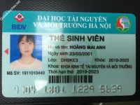 ảnh đính kèm của gia sư