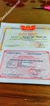 ảnh đính kèm của gia sư