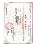 ảnh đính kèm của gia sư