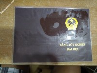 ảnh đính kèm của gia sư