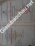 ảnh đính kèm của gia sư