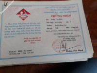 ảnh đính kèm của gia sư