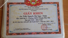 ảnh đính kèm của gia sư