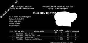 ảnh đính kèm của gia sư