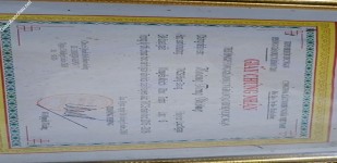 ảnh đính kèm của gia sư