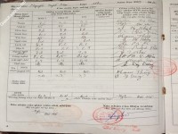 ảnh đính kèm của gia sư