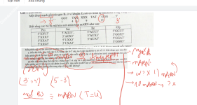 ảnh đính kèm của gia sư
