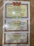 ảnh đính kèm của gia sư