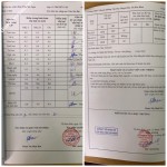 ảnh đính kèm của gia sư