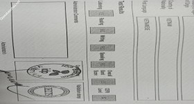 ảnh đính kèm của gia sư