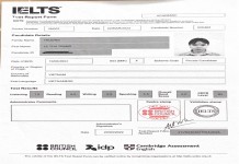 ảnh đính kèm của gia sư