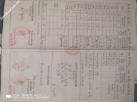 ảnh đính kèm của gia sư