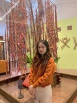 ảnh đính kèm của gia sư