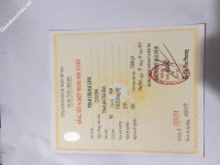 ảnh đính kèm của gia sư