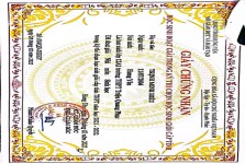 ảnh đính kèm của gia sư