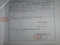 ảnh đính kèm của gia sư