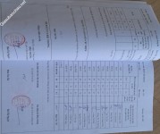 ảnh đính kèm của gia sư