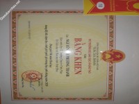 ảnh đính kèm của gia sư