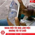 ảnh đính kèm của gia sư