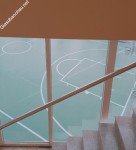 ảnh đính kèm của gia sư