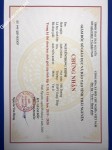 ảnh đính kèm của gia sư