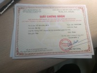 ảnh đính kèm của gia sư