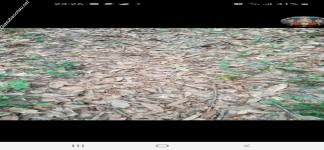 ảnh đính kèm của gia sư