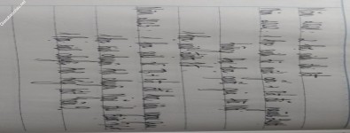 ảnh đính kèm của gia sư