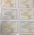 ảnh đính kèm của gia sư