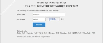 ảnh đính kèm của gia sư