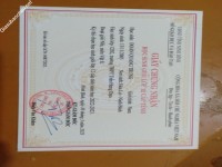 ảnh đính kèm của gia sư