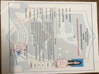 ảnh đính kèm của gia sư