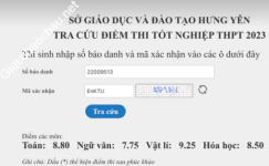 ảnh đính kèm của gia sư