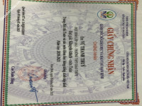 ảnh đính kèm của gia sư