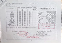 ảnh đính kèm của gia sư