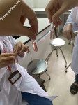 ảnh đính kèm của gia sư