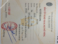 ảnh đính kèm của gia sư