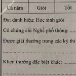 ảnh đính kèm của gia sư