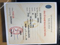 ảnh đính kèm của gia sư