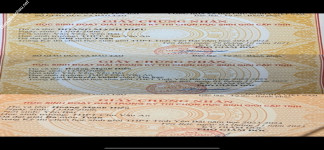 ảnh đính kèm của gia sư