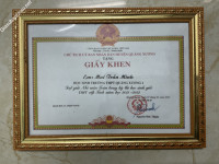 ảnh đính kèm của gia sư