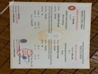 ảnh đính kèm của gia sư