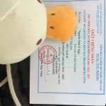 ảnh đính kèm của gia sư