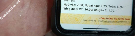 ảnh đính kèm của gia sư