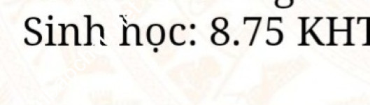 ảnh đính kèm của gia sư